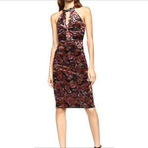 BCBG Halter Cut-out Dress Floral Velvet NWT Sz S